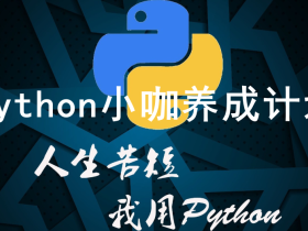 Python小咖养成计划
